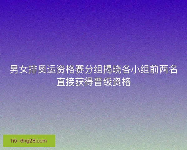 男女排奥运资格赛分组揭晓各小组前两名直接获得晋级资格